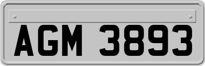 AGM3893