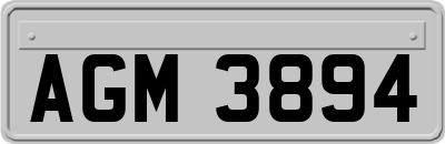 AGM3894