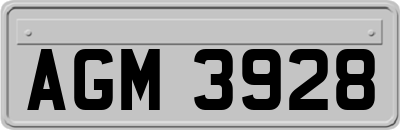 AGM3928