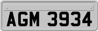 AGM3934