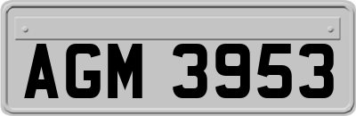 AGM3953