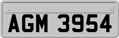 AGM3954