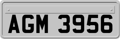 AGM3956