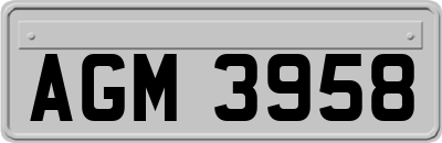 AGM3958