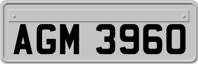 AGM3960