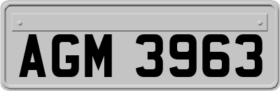 AGM3963