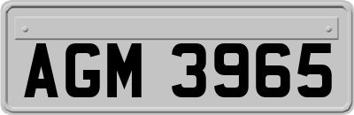 AGM3965