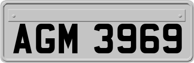 AGM3969