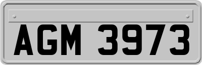 AGM3973