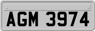 AGM3974