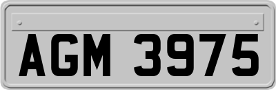 AGM3975