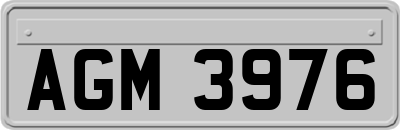 AGM3976