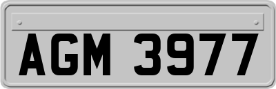 AGM3977