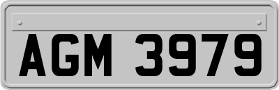 AGM3979