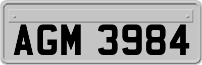 AGM3984