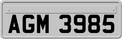 AGM3985