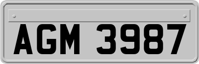 AGM3987