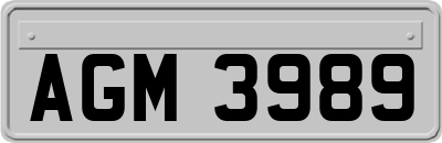 AGM3989