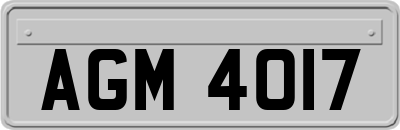 AGM4017