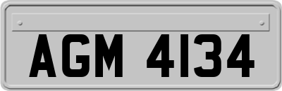 AGM4134