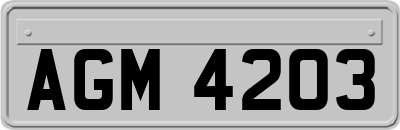AGM4203