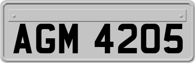 AGM4205