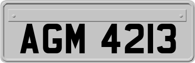AGM4213