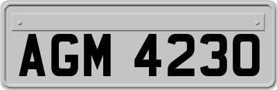 AGM4230