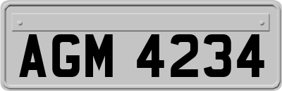 AGM4234