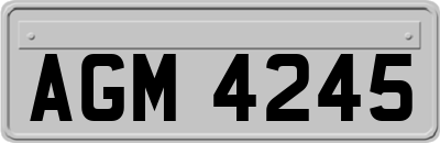 AGM4245
