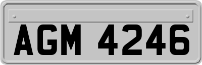 AGM4246