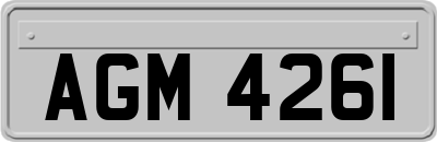 AGM4261