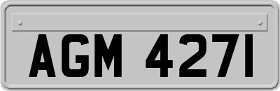 AGM4271