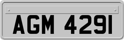 AGM4291