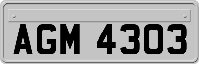 AGM4303