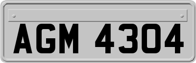 AGM4304