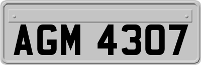 AGM4307