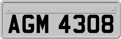 AGM4308