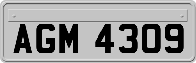 AGM4309