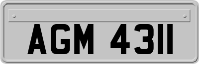 AGM4311