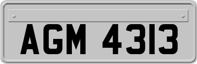 AGM4313