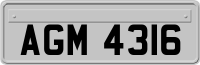 AGM4316