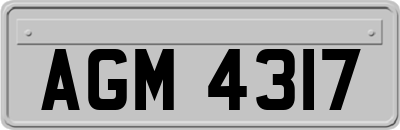 AGM4317