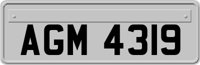 AGM4319