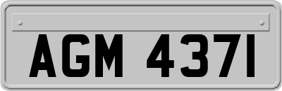 AGM4371