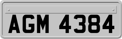 AGM4384