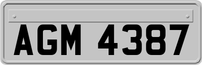 AGM4387