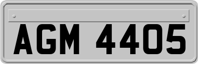 AGM4405