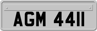 AGM4411