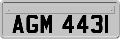 AGM4431